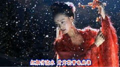 梅花泪