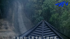 烟花易冷