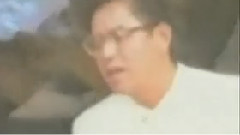 深情不改