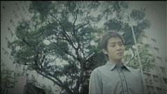 榕树