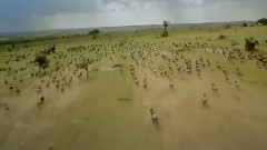 非洲梦