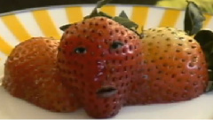 羽毛河