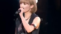 燕尾蝶