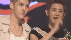 Show Champion