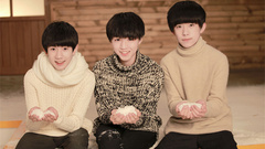 样(YOUNG)