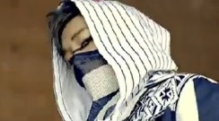 回归预告