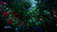 Butterfly Waltz