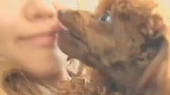 少女时代 - 崔秀英Instagram更新Cut