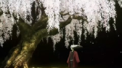 曾经的二次元