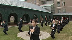 怒放的生命
