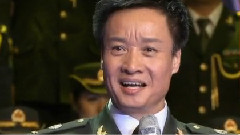小白杨