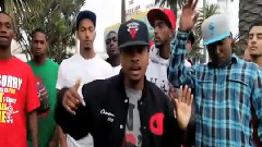 All Fly Shit