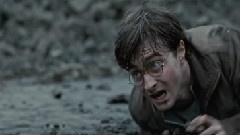 影视原声 - <Harry Potter And The Deathly