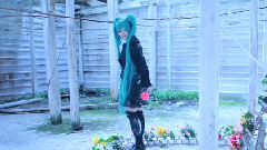初音未来 - SAIHATE