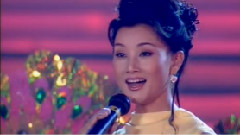 大地飞歌