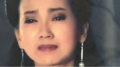 见或不见
