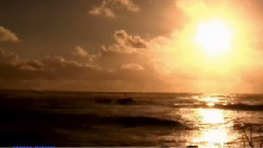 Morning Has Broken