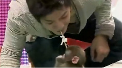 SBS StarKing