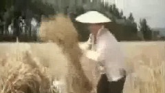 影视原声 - 一条大道金光闪