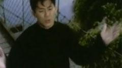 爱情多瑙河