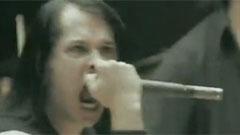Forever The Martyr