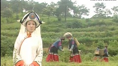 电视剧