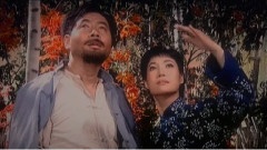 雁南飞