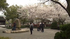 西湖春