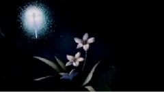 糖果仙子舞曲 动画版