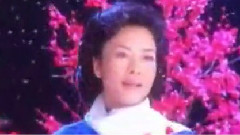 红梅赞