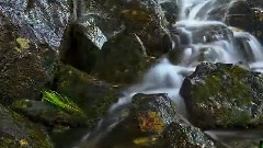 春水