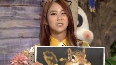 SBS TV 动物农场