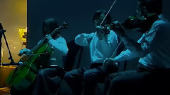 秋意浓
