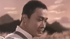 影视原声 - 群雁高飞头雁领