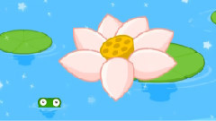 数蛤蟆