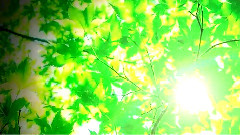 初音未来 - 殻鎖