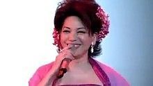 敖包相会 银色月光下2004演唱会 现场版