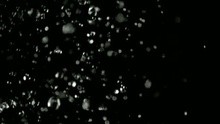 Macroscopy 