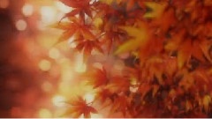 そしていま