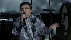 心中的太阳