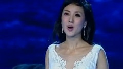 美丽的旗帜