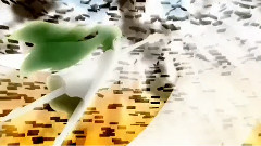 初音未来 - 囚われの王女
