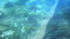 影视原声 - 纪录片