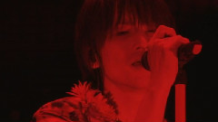 Concert Tour