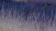 When Winter Comes