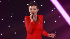 迷迭香