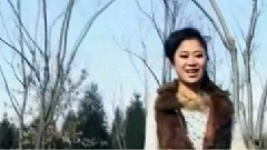 野狼模样