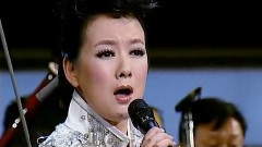 戈壁马兰