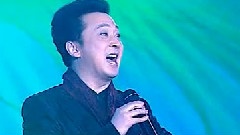 小白杨