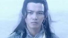 鹰在飞